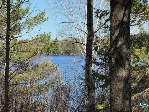2275 Loon Point Makinen MN 55763