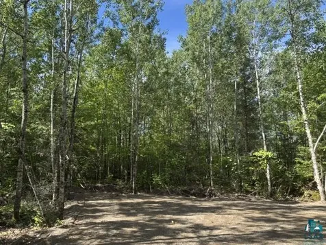 Tbd Powerhouse Trail Ely MN 55731