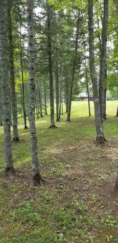9046 Eagles Club Road Alborn MN 55702