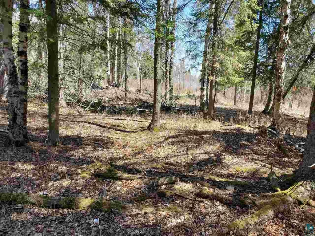 Lot 2 Hoaglund Drive Tofte MN 55615