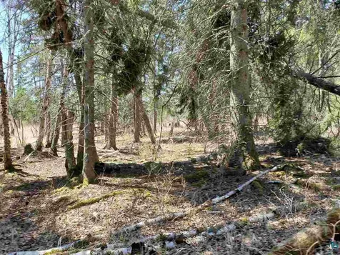 Lot 2 Hoaglund Drive Tofte MN 55615