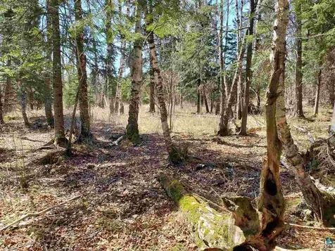 Lot 2 Hoaglund Drive Tofte MN 55615