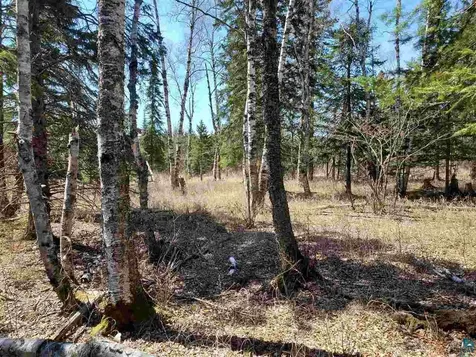 Lot 2 Hoaglund Drive Tofte MN 55615