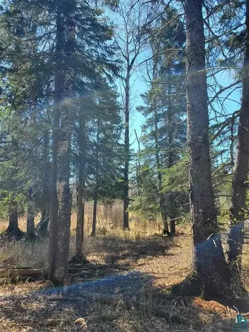 Lot 2 Hoaglund Drive Tofte MN 55615