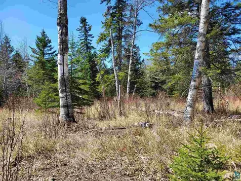 Lot 2 Hoaglund Drive Tofte MN 55615