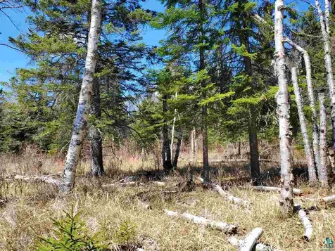 Lot 2 Hoaglund Drive Tofte MN 55615