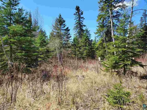 Lot 2 Hoaglund Drive Tofte MN 55615