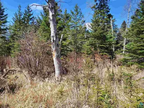 Lot 2 Hoaglund Drive Tofte MN 55615