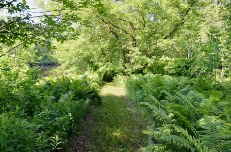 6438 Highway 29 Floodwood MN 55736