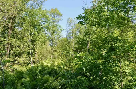 6438 Highway 29 Floodwood MN 55736