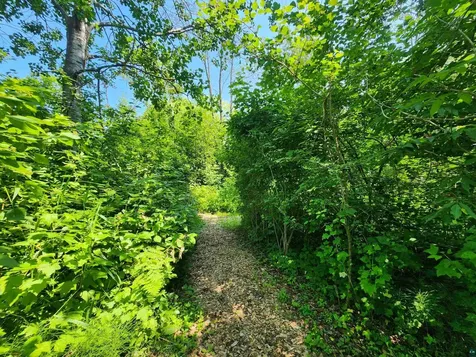 37750 Creek Trail Bayfield WI 54814