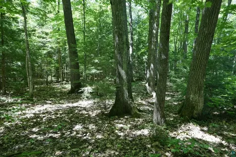 77545 W Maple Hill Road Washburn WI 54891