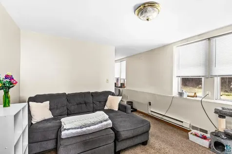 217 E 7th Street Duluth MN 55805
