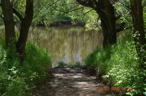 6394 Highway 29 Floodwood MN 55736