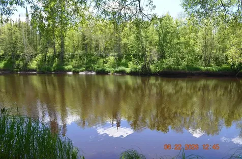 6394 Highway 29 Floodwood MN 55736