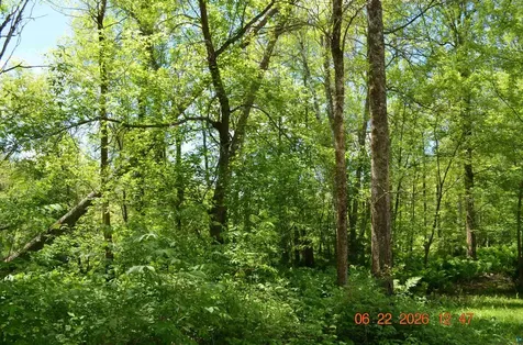 6394 Highway 29 Floodwood MN 55736