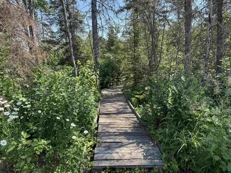 782 County Road 6 Grand Marais MN 55604
