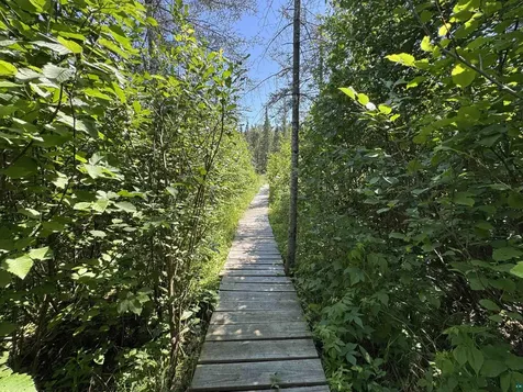 782 County Road 6 Grand Marais MN 55604