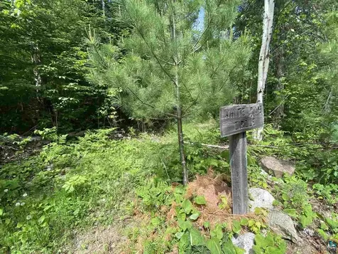 Xxc Pine Peak Road Lutsen MN 55612