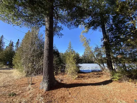 Xxc Pine Peak Road Lutsen MN 55612