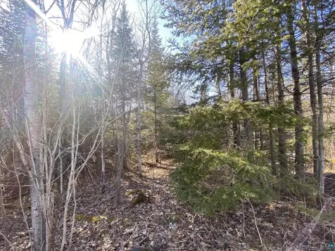 Xxc Pine Peak Road Lutsen MN 55612