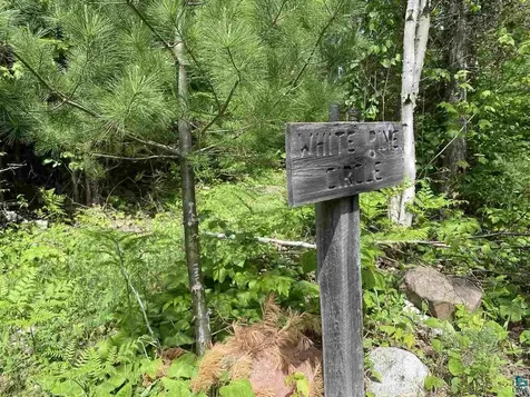 Xxc Pine Peak Road Lutsen MN 55612