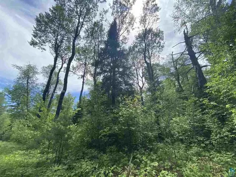 Xxc Pine Peak Road Lutsen MN 55612