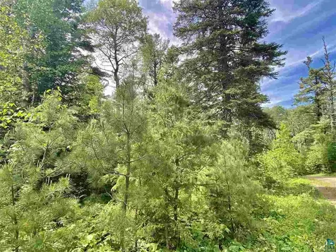 Xxc Pine Peak Road Lutsen MN 55612