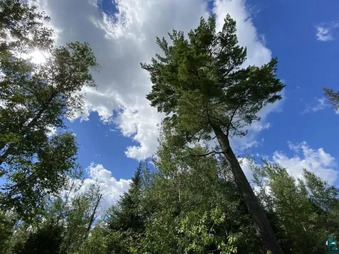 Xxc Pine Peak Road Lutsen MN 55612