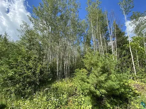Xxc Pine Peak Road Lutsen MN 55612