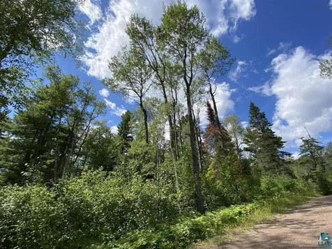Xxc Pine Peak Road Lutsen MN 55612