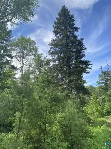 Xxc Pine Peak Road Lutsen MN 55612