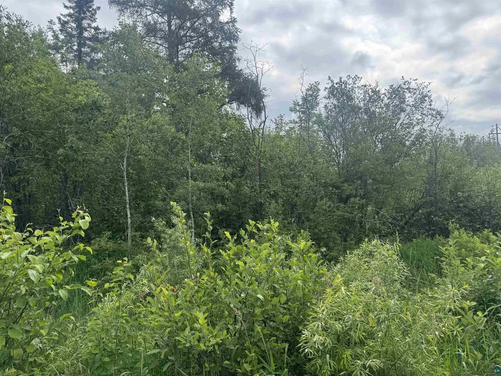 3XXX Quaal Road Forbes MN 55738