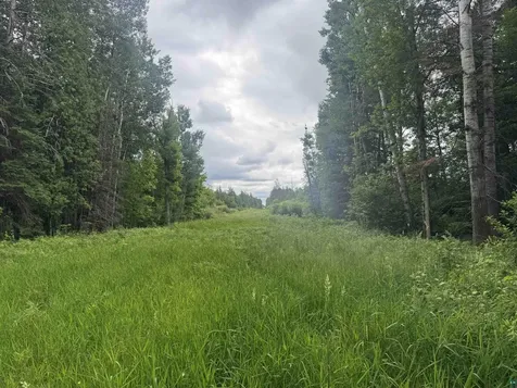 3XXX Quaal Road Forbes MN 55738
