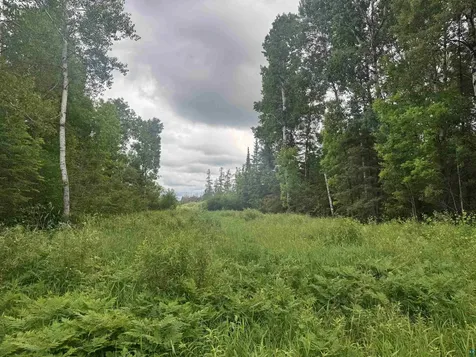 3XXX Quaal Road Forbes MN 55738