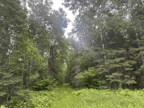 3XXX Quaal Road Forbes MN 55738
