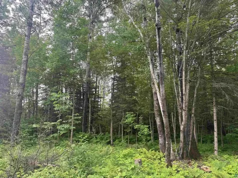 3XXX Quaal Road Forbes MN 55738