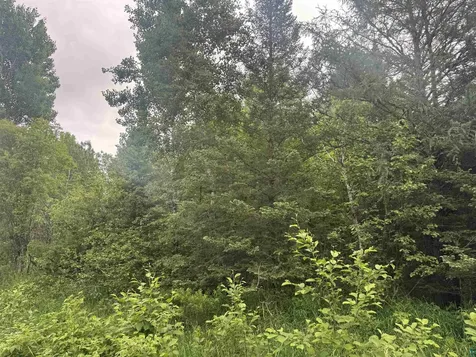 3XXX Quaal Road Forbes MN 55738