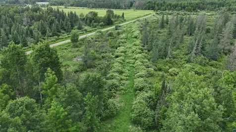 3XXX Quaal Road Forbes MN 55738
