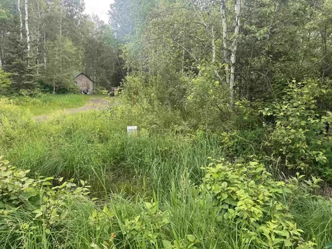 3XXX Quaal Road Forbes MN 55738
