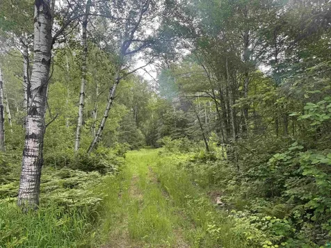 3XXX Quaal Road Forbes MN 55738