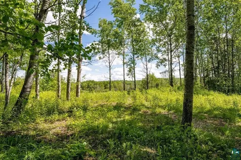 50XX Benson Road Hermantown MN 55811