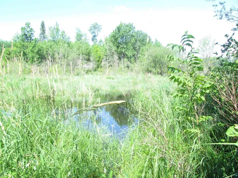 6810 Northeast Road Wright MN 55798