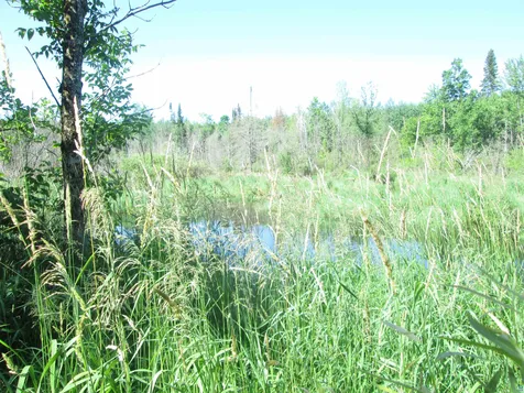 6810 Northeast Road Wright MN 55798