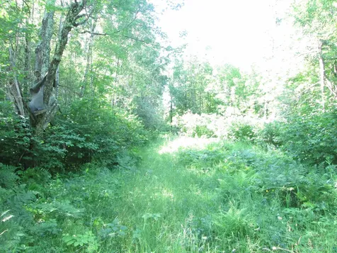 6810 Northeast Road Wright MN 55798