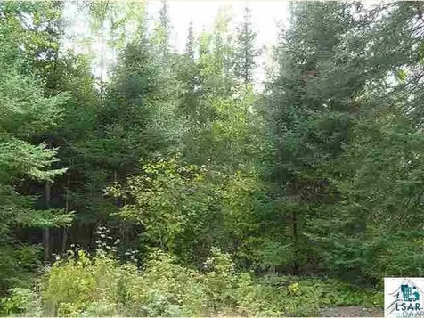 XXX1 Lane 51 Aurora MN 55705