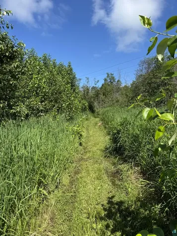 1317 Shoreview Road Two Harbors MN 55616