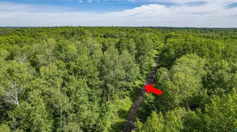 1XXX Bent Trout Lake Road Barnum MN 55707