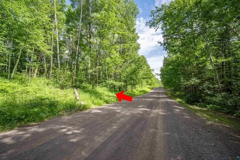1XXX Bent Trout Lake Road Barnum MN 55707