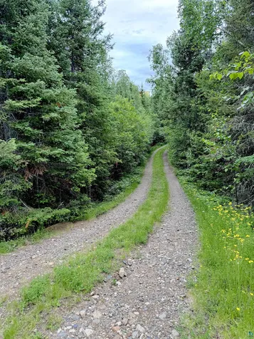 Tbd Onagon Lake Road Grand Marais MN 55604